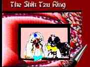 The Shih Tzu Ring